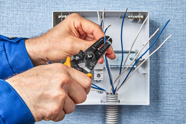 Best Electrical Panel Upgrades  in Mcqueeney, TX